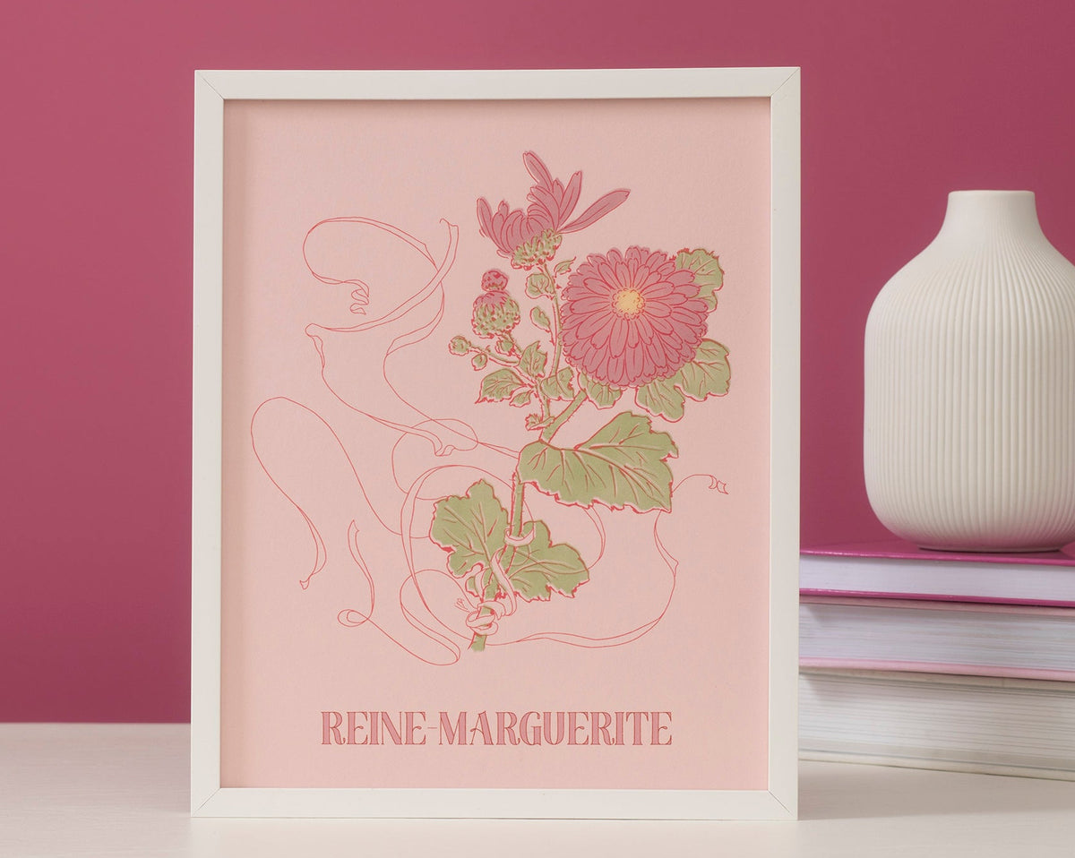 Framed artwork with the flower  'Reine Marguerite'  and name on a pink background