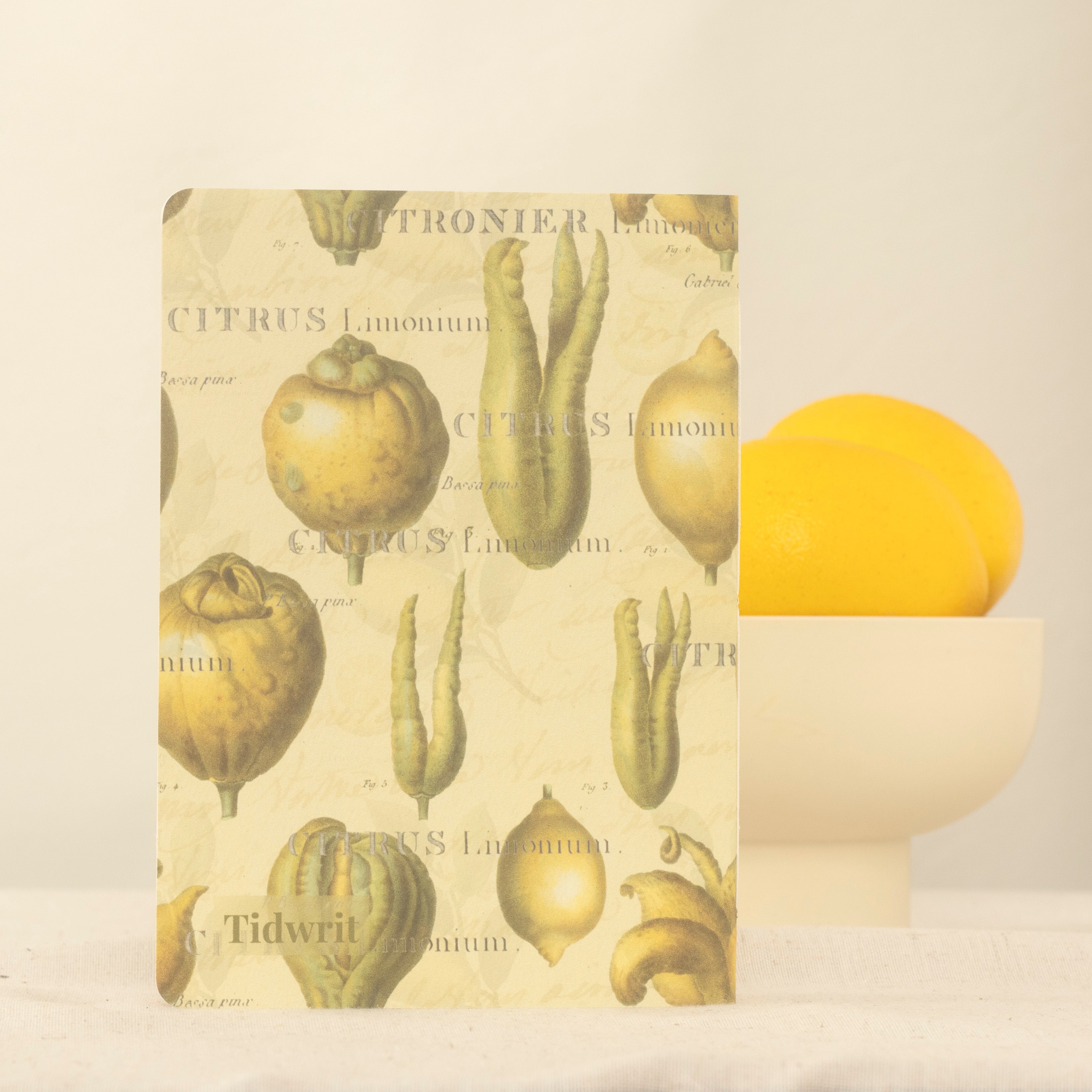 Back of a notebook with vintage lemon illustrations, set against a bowl of lemons on a soft beige backdrop.