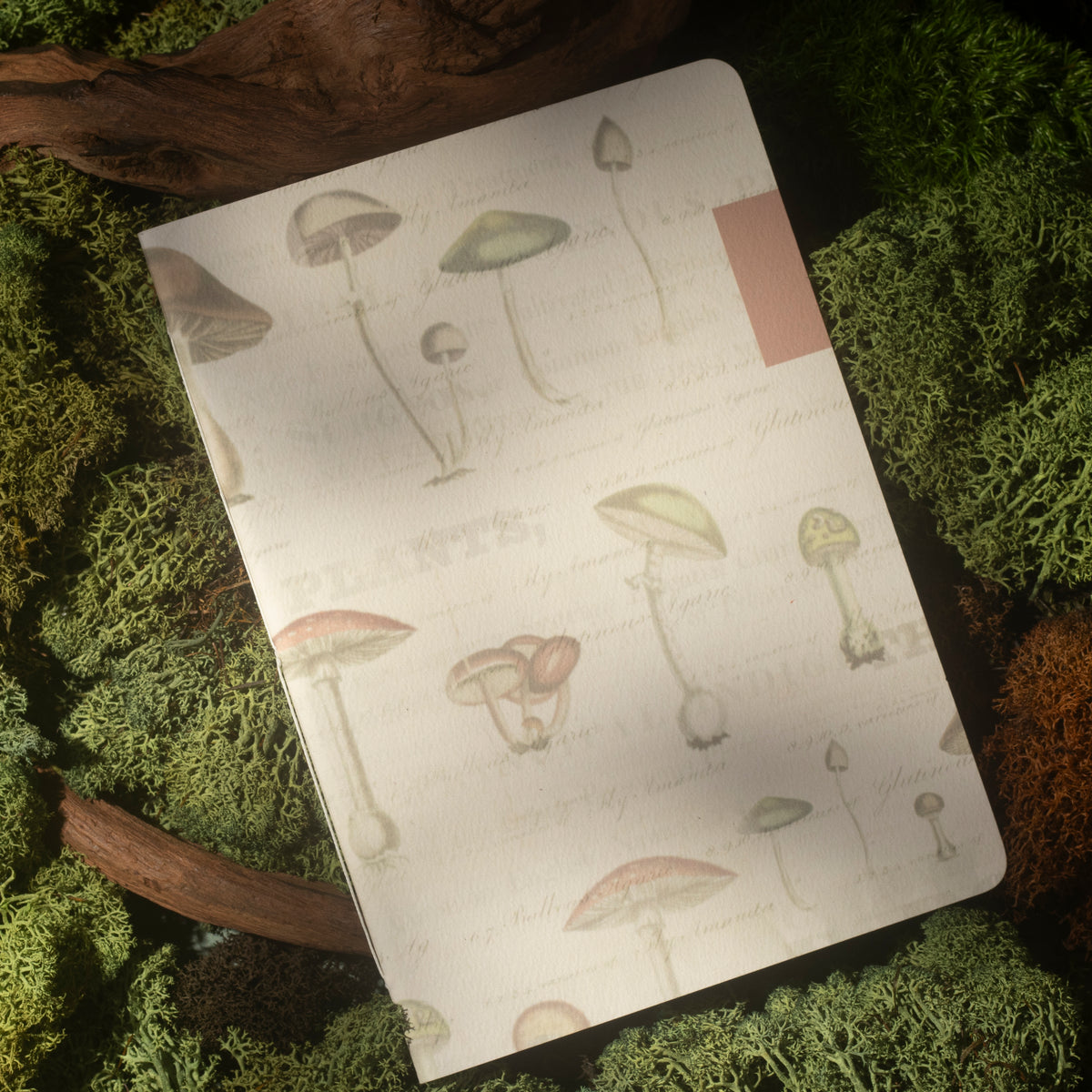 A notebook with a cream-colored cover decorated with vintage-style mushroom illustrations, resting on a bed of green moss and wood.