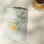 An open notebook or journal on a light surface, showing a botanical illustration of yellow flowers and green leaves on the left page. A cup of tea sits in the upper right corner, with soft shadows cast across the scene.