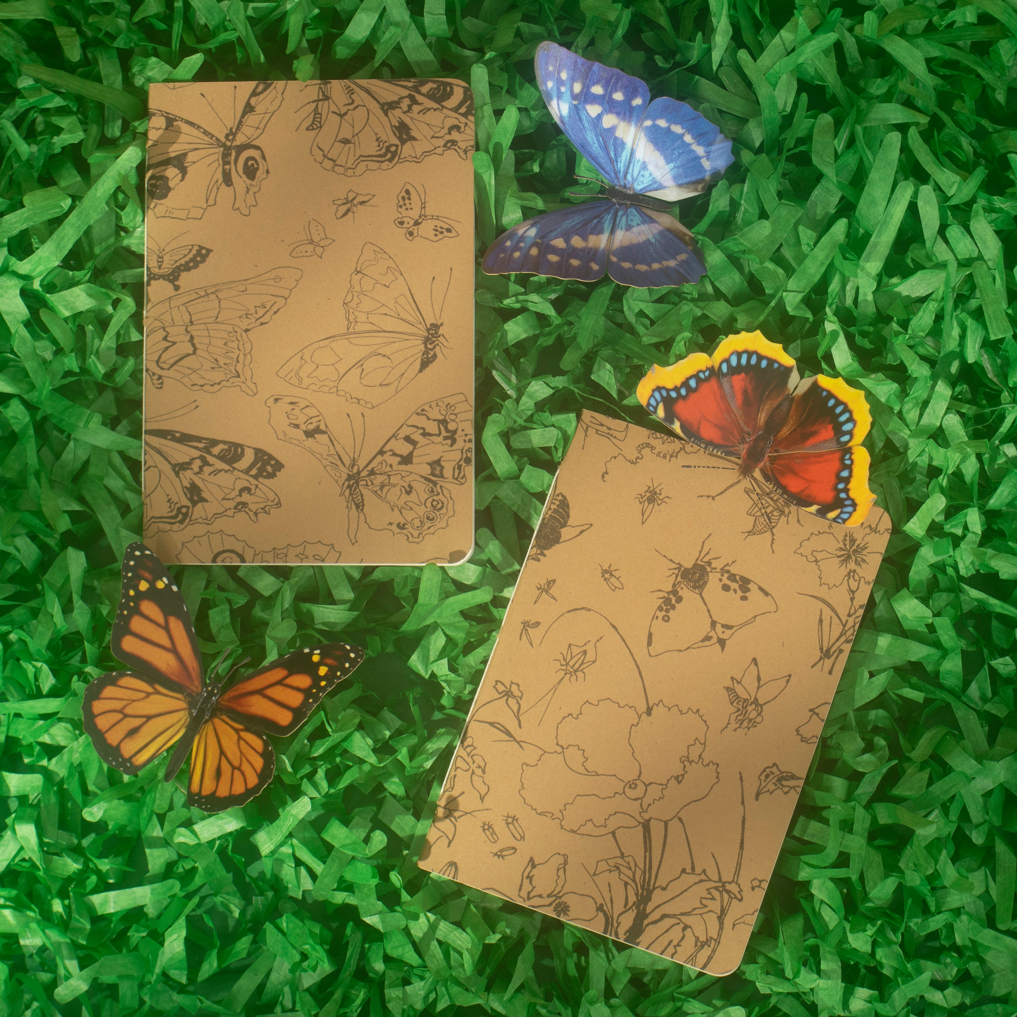 Front of two kraft brown notebooks with insect and floral illustrations on a paper grass background.