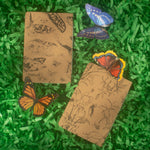 Backs of two kraft brown notebooks with insect, and floral illustrations on a paper grass background